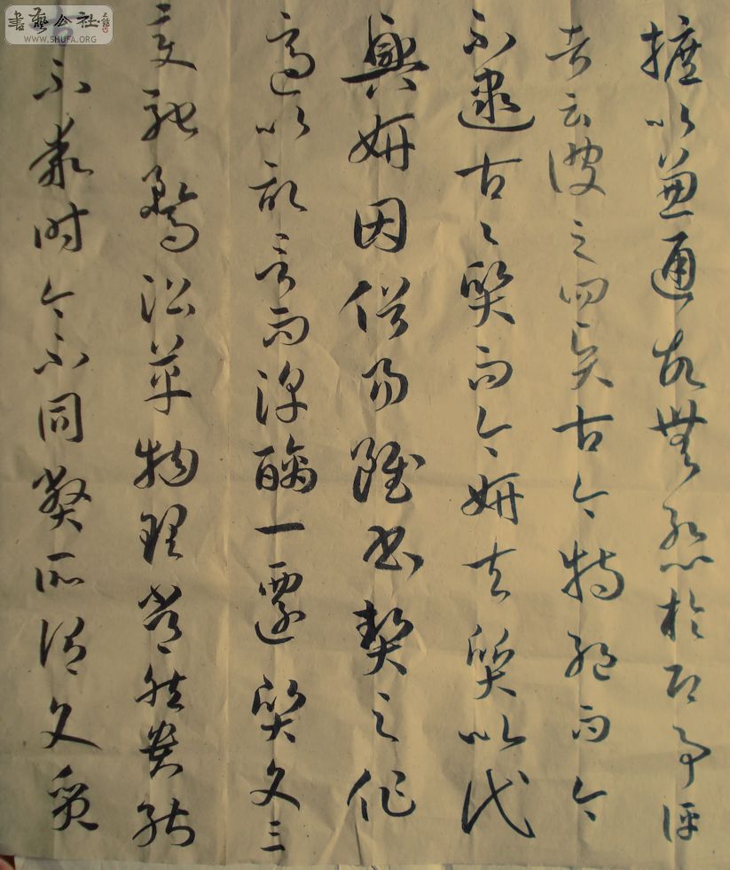 DSC01491.JPG