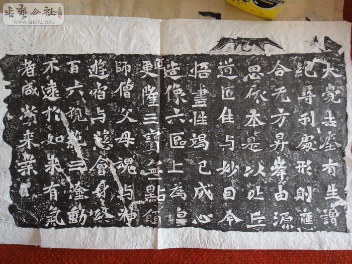DSC08038.jpg