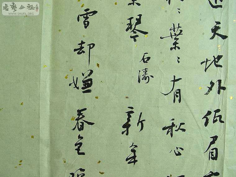 DSC00263.jpg