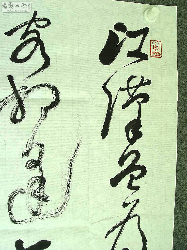 DSC00293.jpg