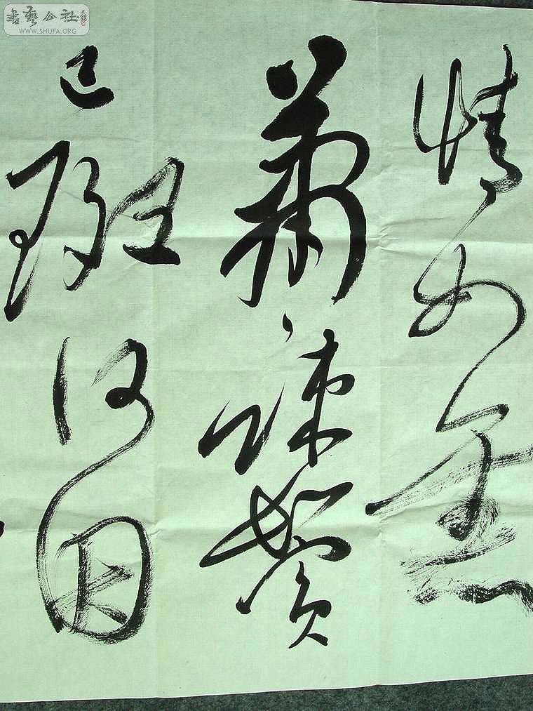 DSC00294.jpg