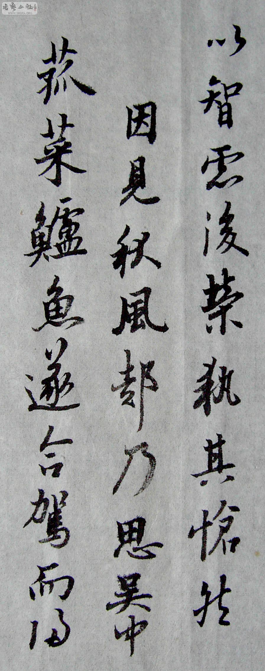 PICT3504.JPG