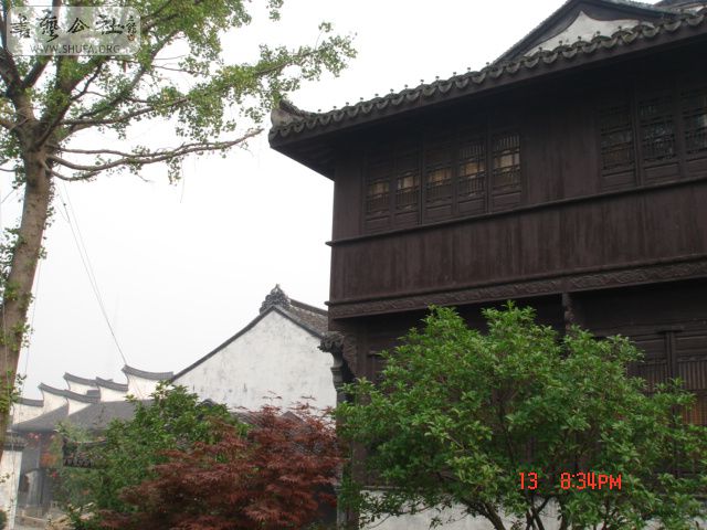 DSC05596.JPG