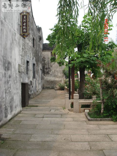 DSC05615.JPG
