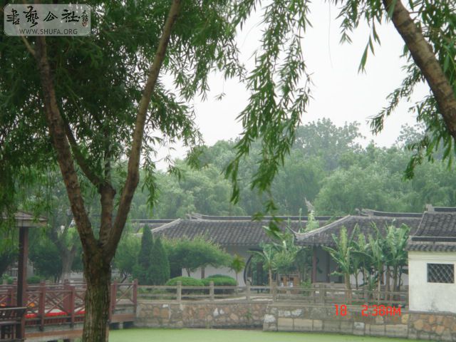 DSC01497.JPG