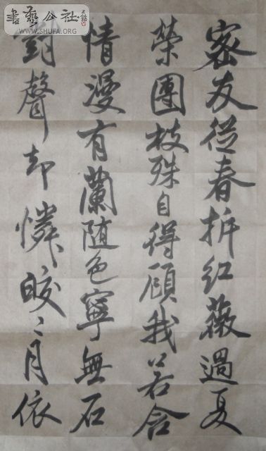 SDC13395.JPG