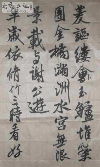 SDC13402.JPG