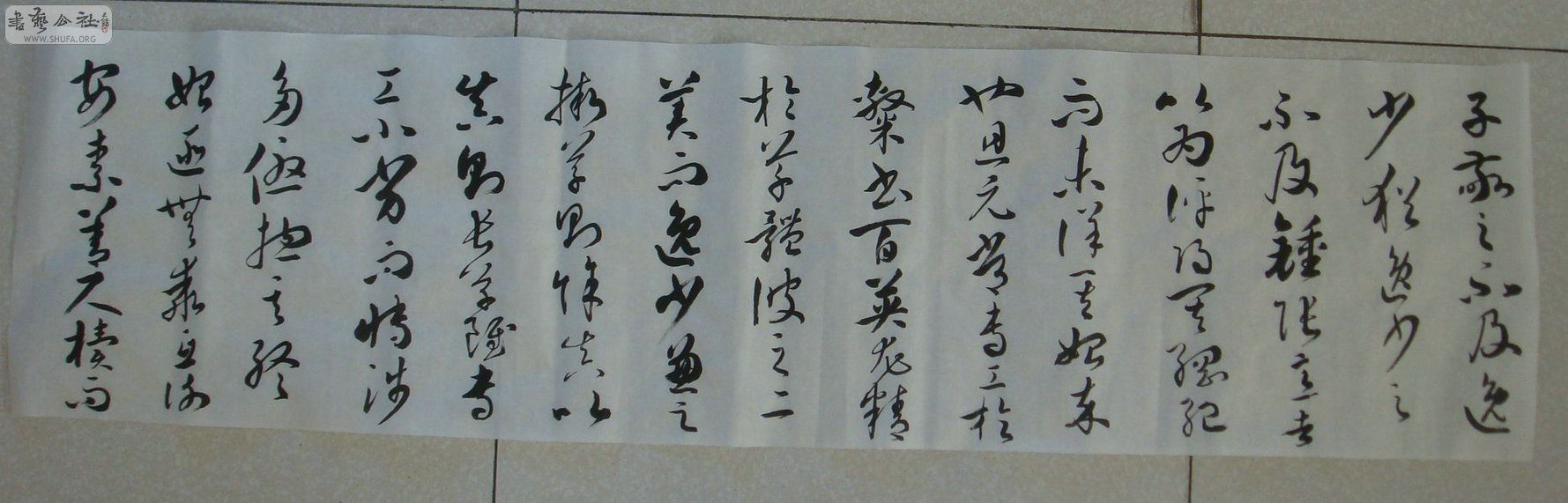 DSC012401.jpg
