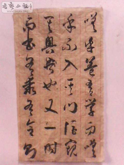IMG0103A.jpg