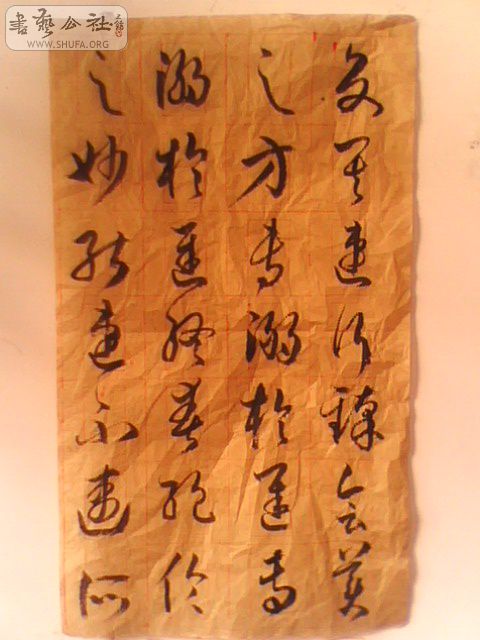 85192_1281512967PLQI.jpg
