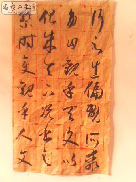 85192_1281512984aPsM.jpg