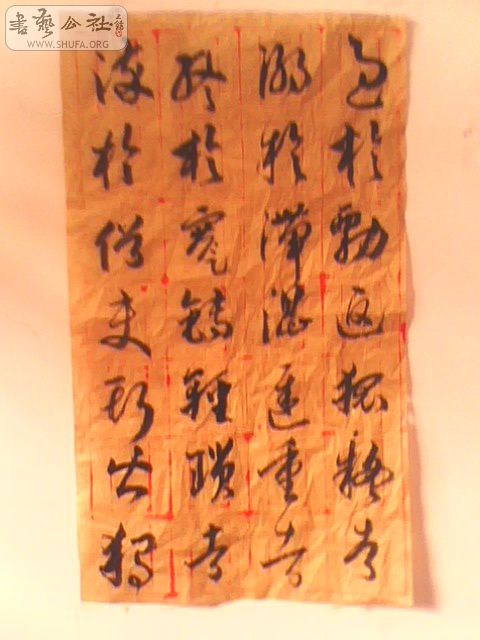 85192_1281512982HUu6.jpg