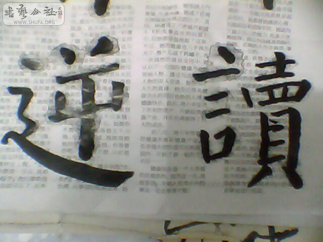 IMG0052A.jpg