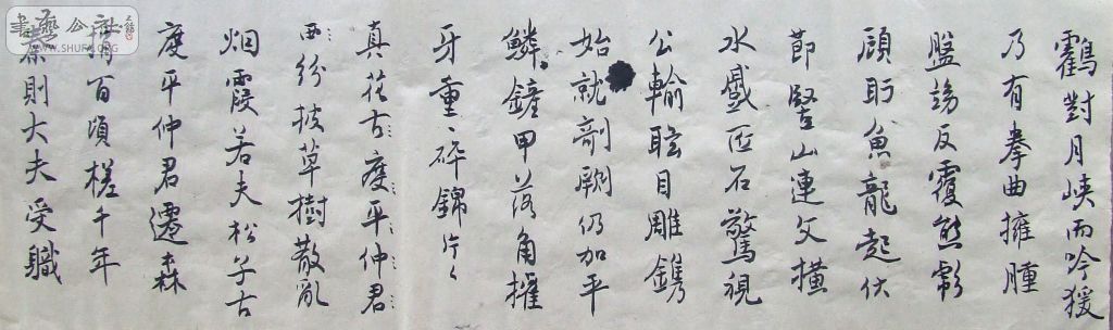 DSCF1434.JPG