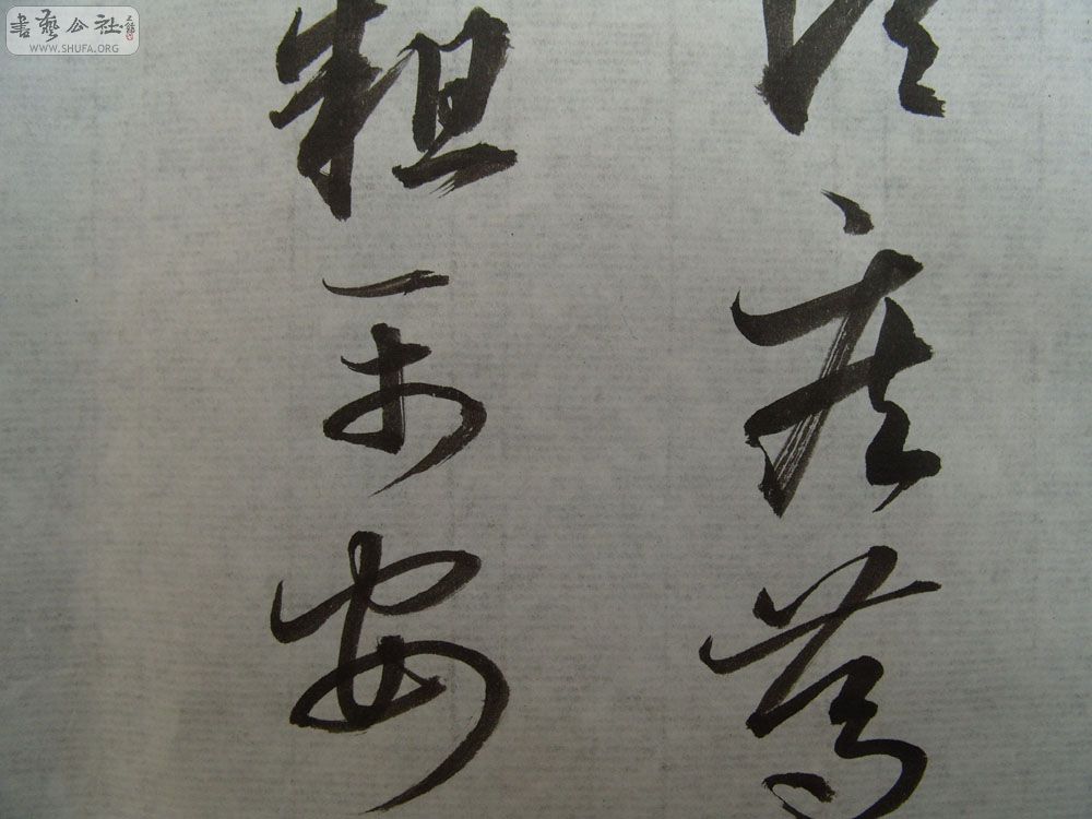 S1054176.JPG