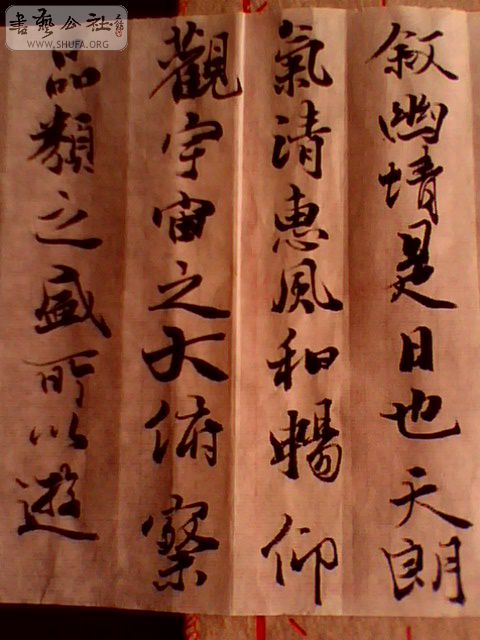 IMG0393A.jpg