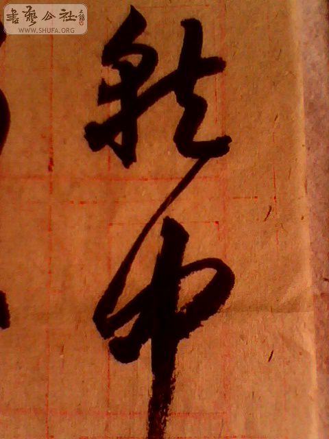  IMG0360A.jpg