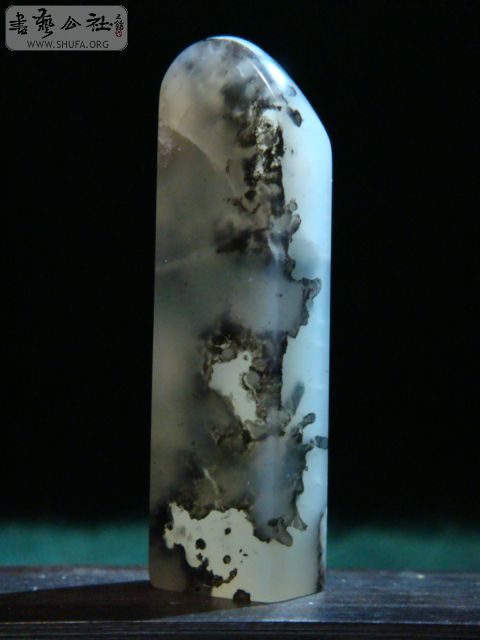 DSC00344.JPG