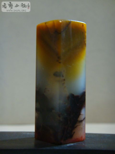 DSC00390.JPG
