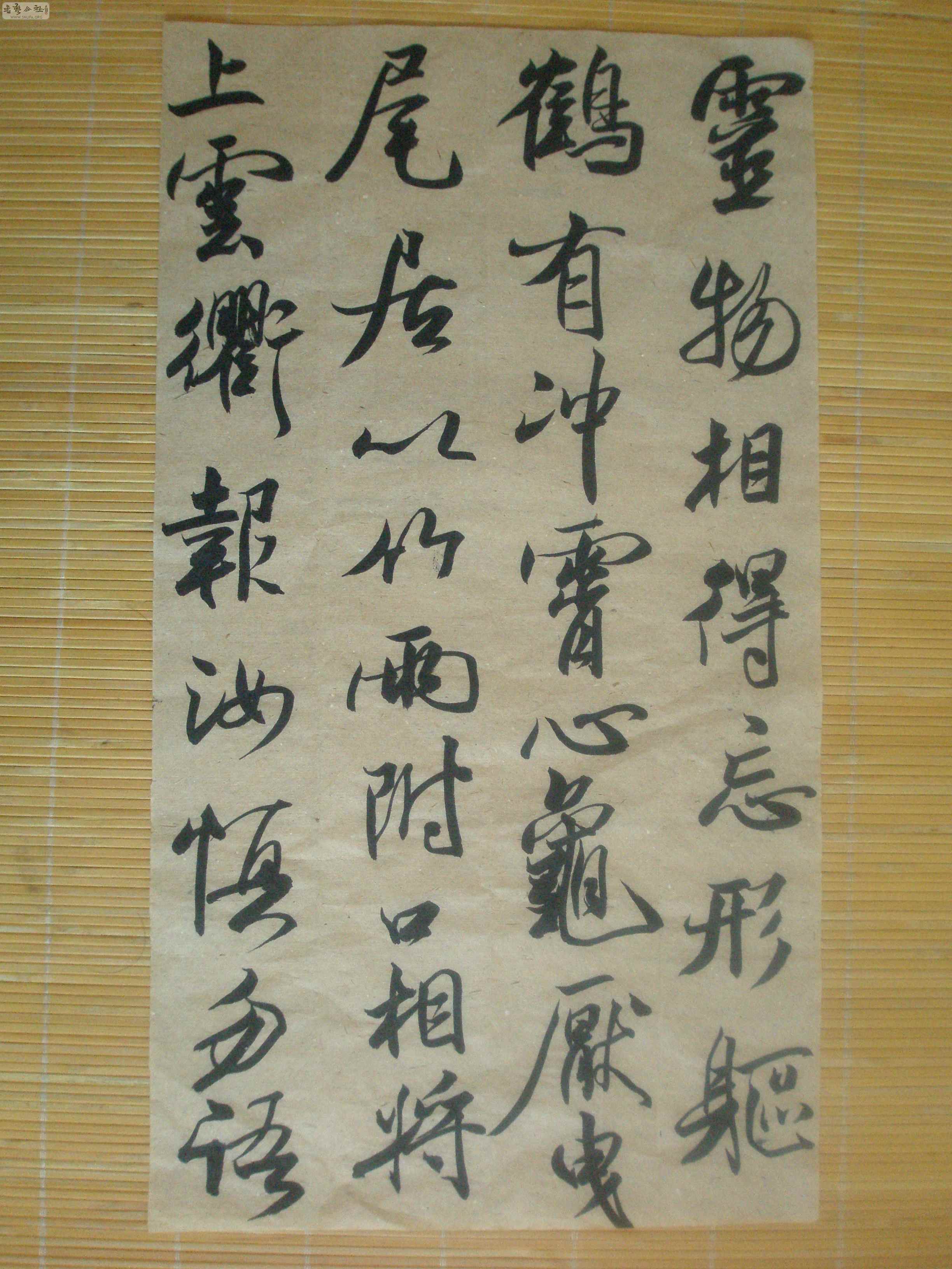 P8120081.jpg