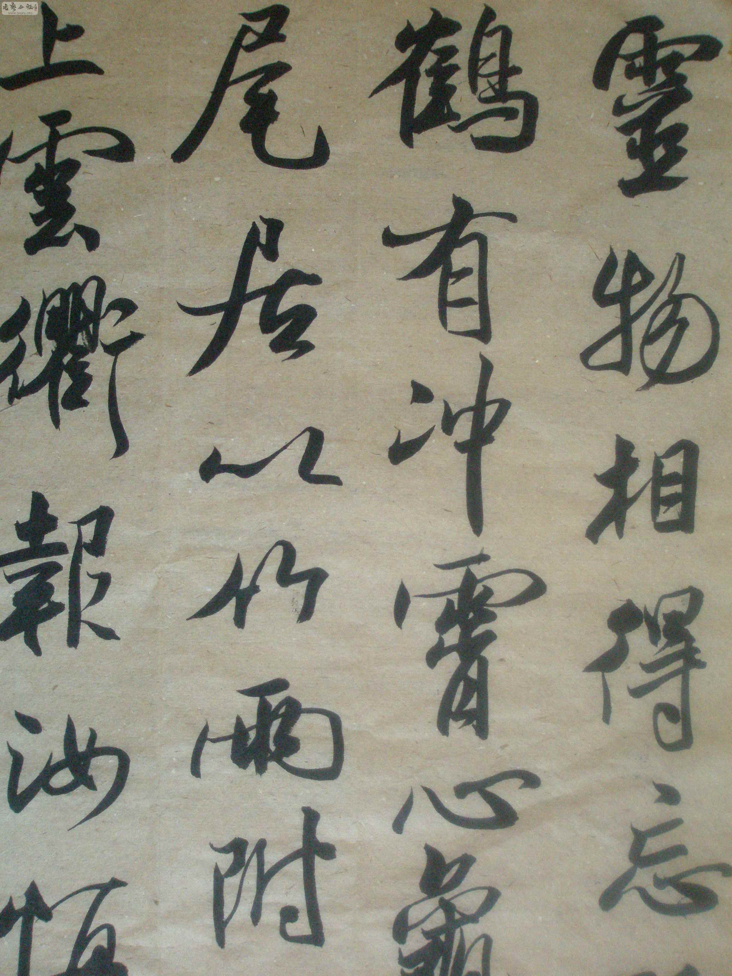 P8120082.jpg