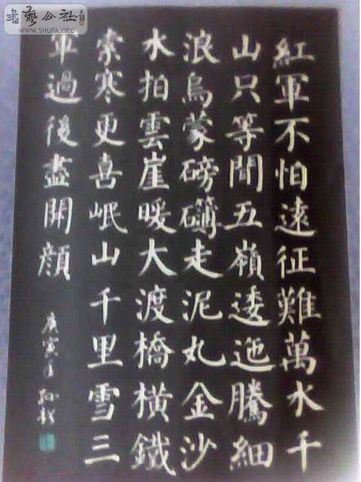 20100816_1222_02.jpg