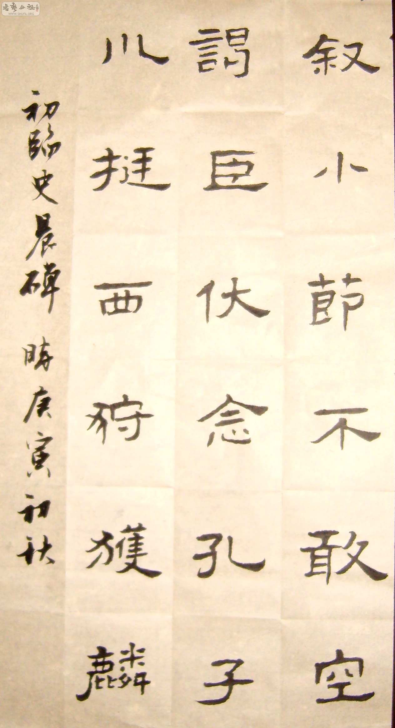 S8002126.JPG