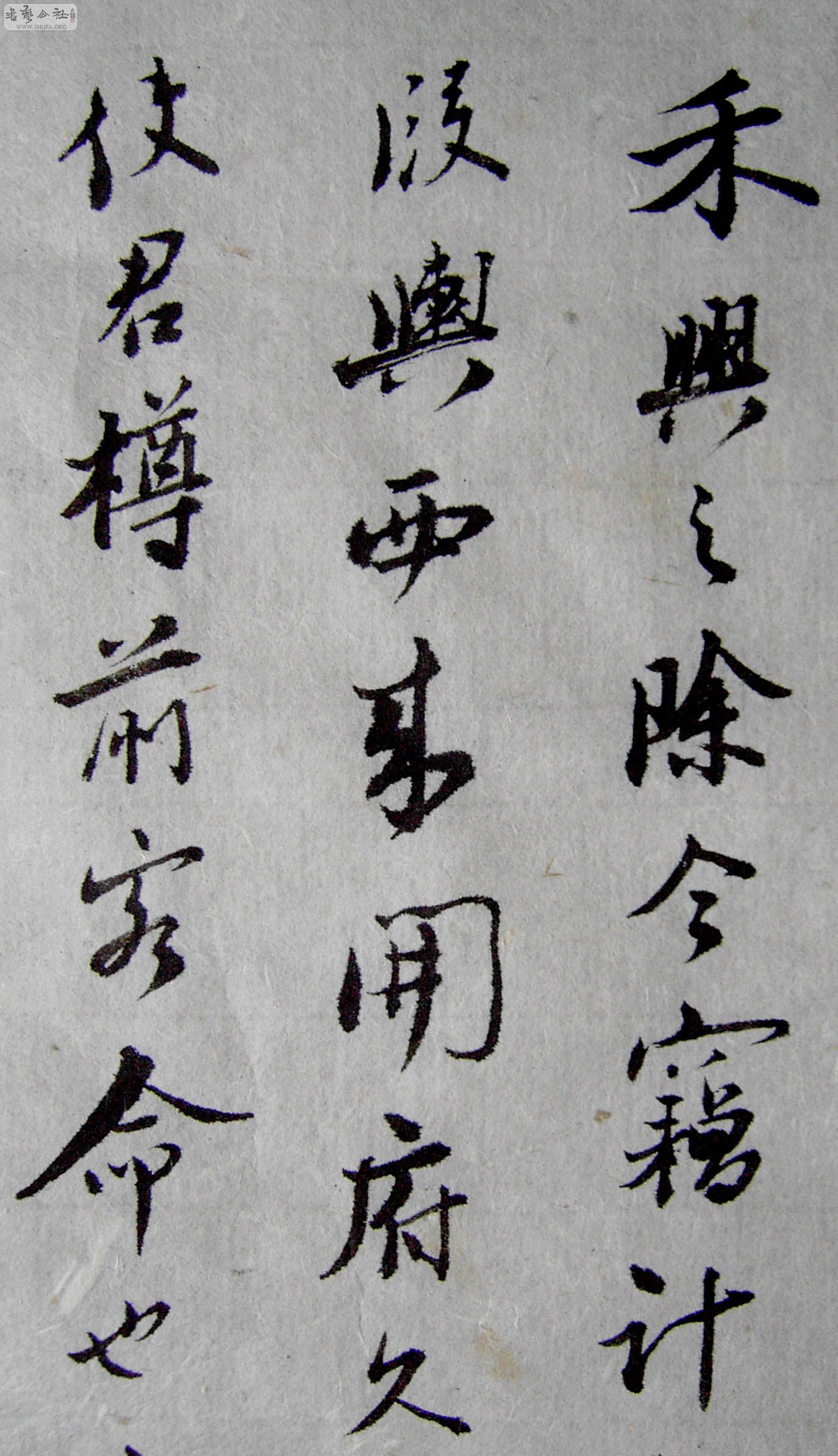 PICT3546.JPG
