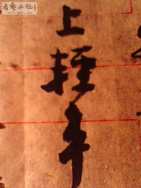 IMG0431A.jpg