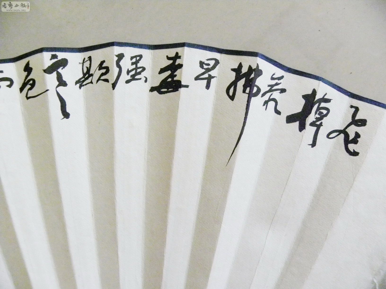 DSCN3118_С.jpg