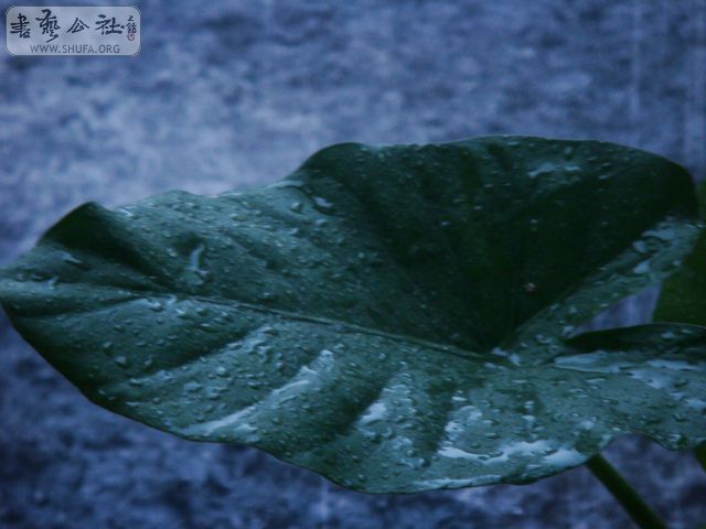 DSC03405.JPG