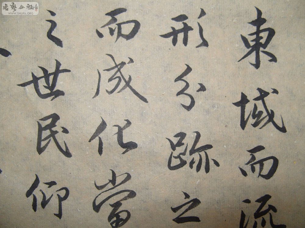 S1054213.JPG