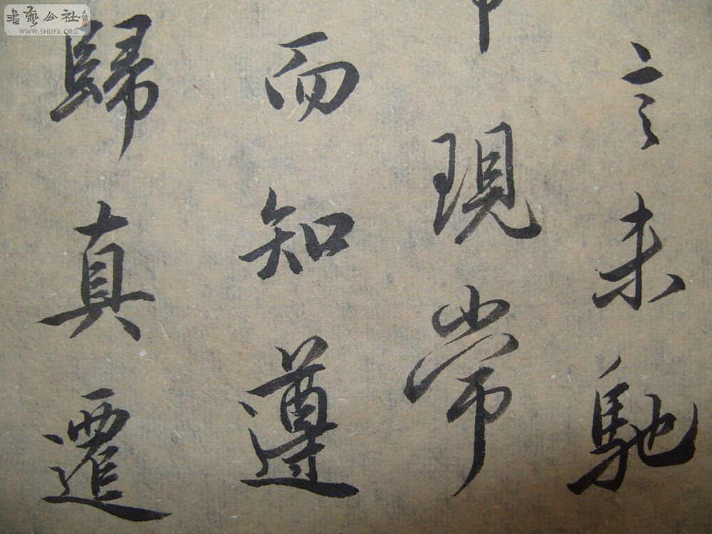 S1054214.JPG
