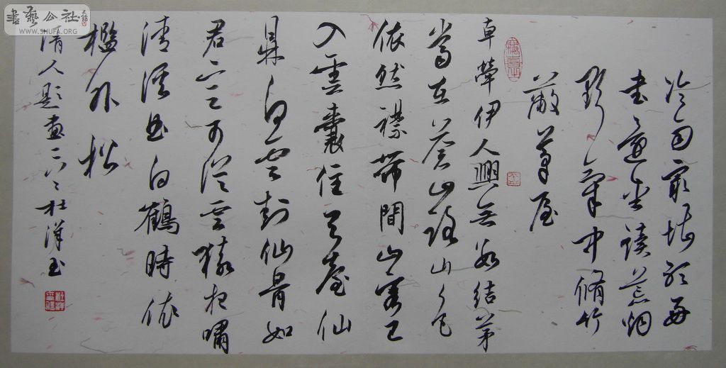 SDC11577.JPG