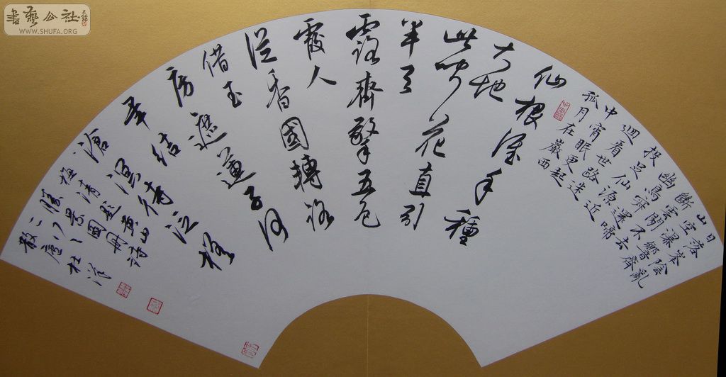 SDC11595.JPG