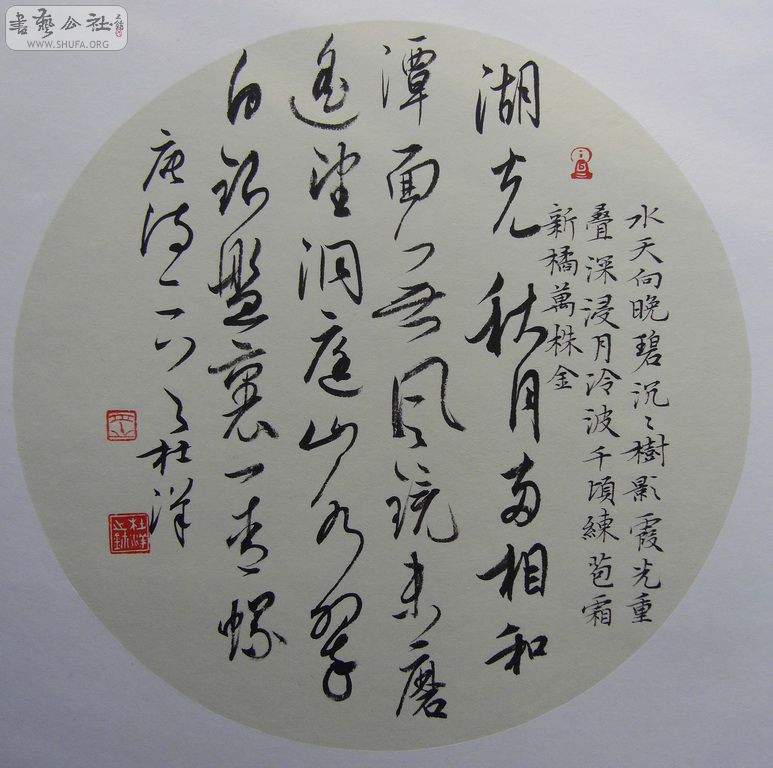 SDC11594.JPG