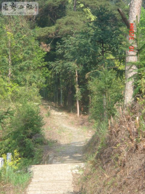 DSC01132.JPG