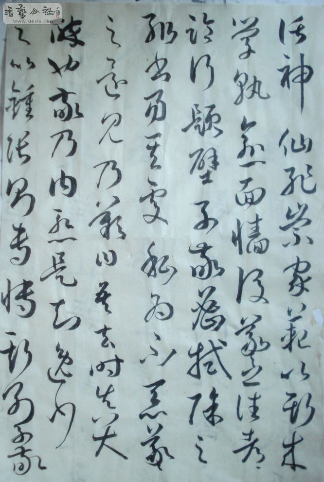 DSC01709.JPG
