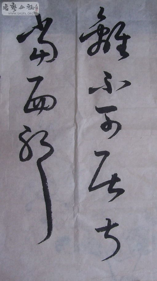 45678524