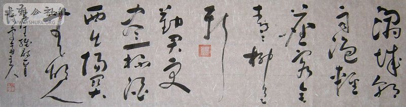 SUC52662.JPG
