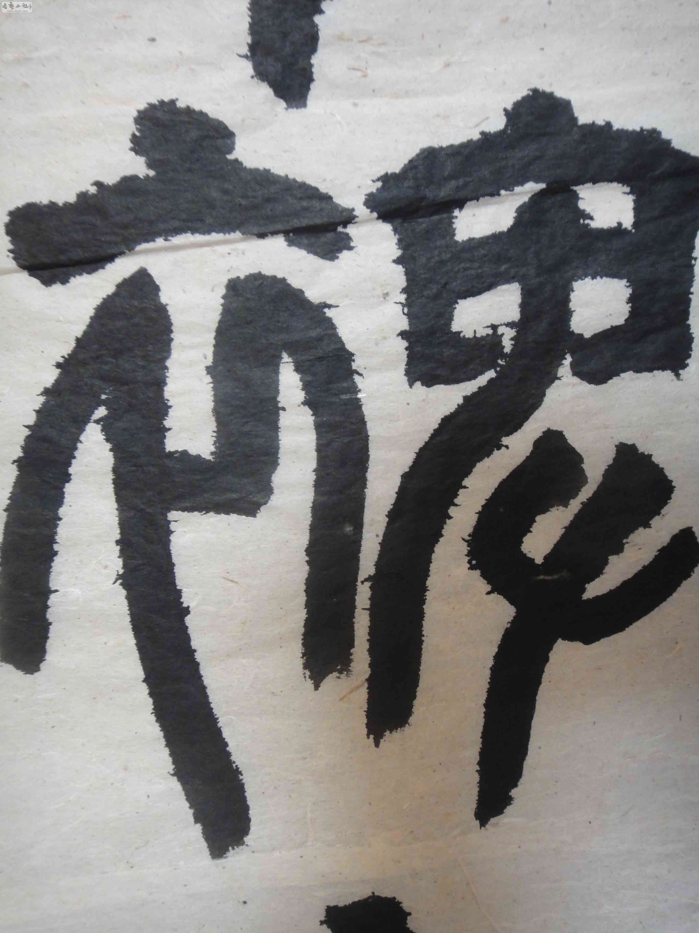 DSC08725.JPG