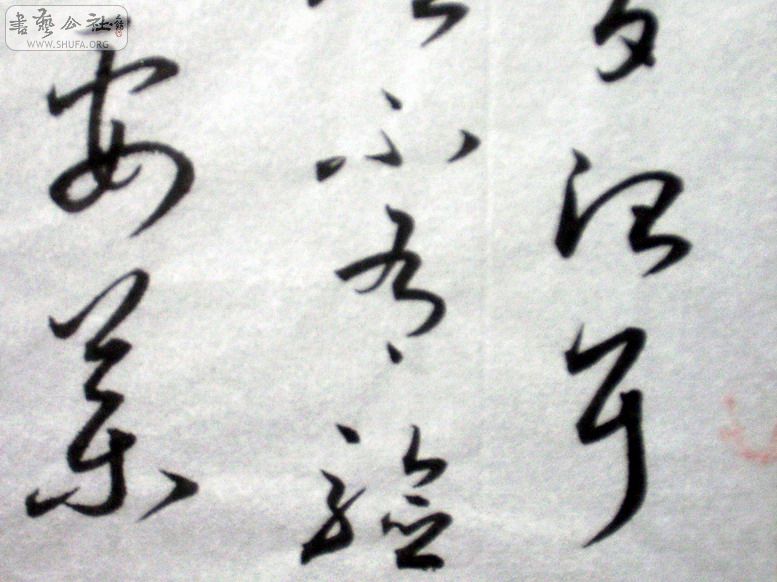 Զ黭 030.jpg