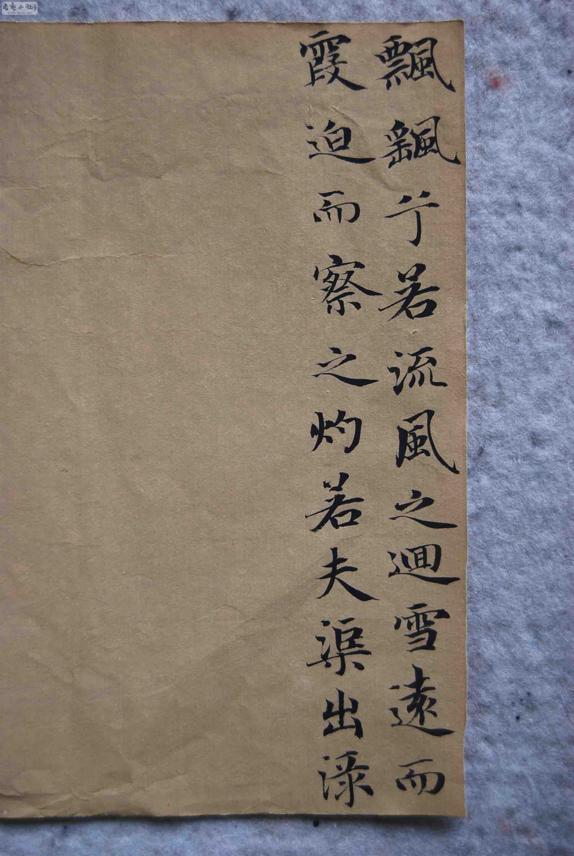 DSC_9196.JPG