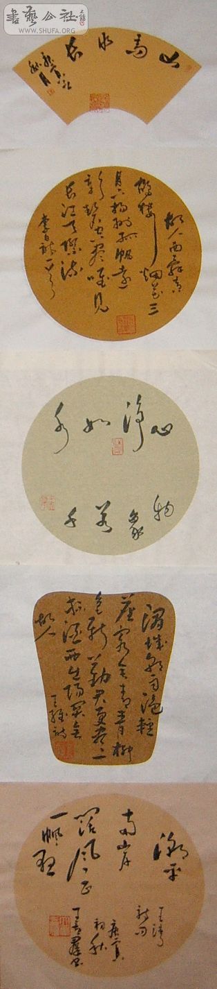 SUC52693.JPG
