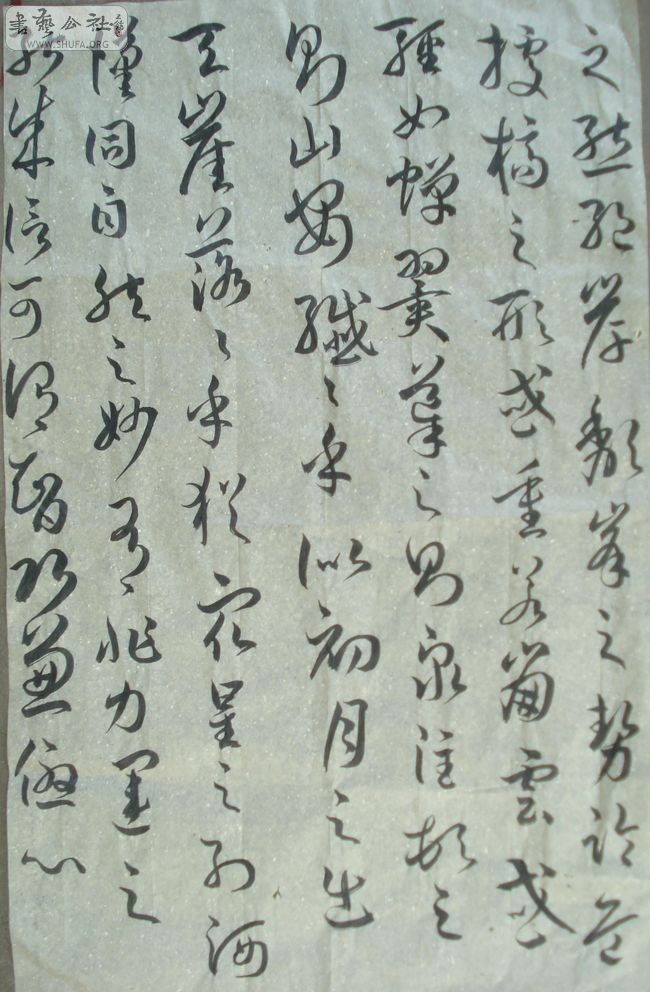 DSC01978.JPG