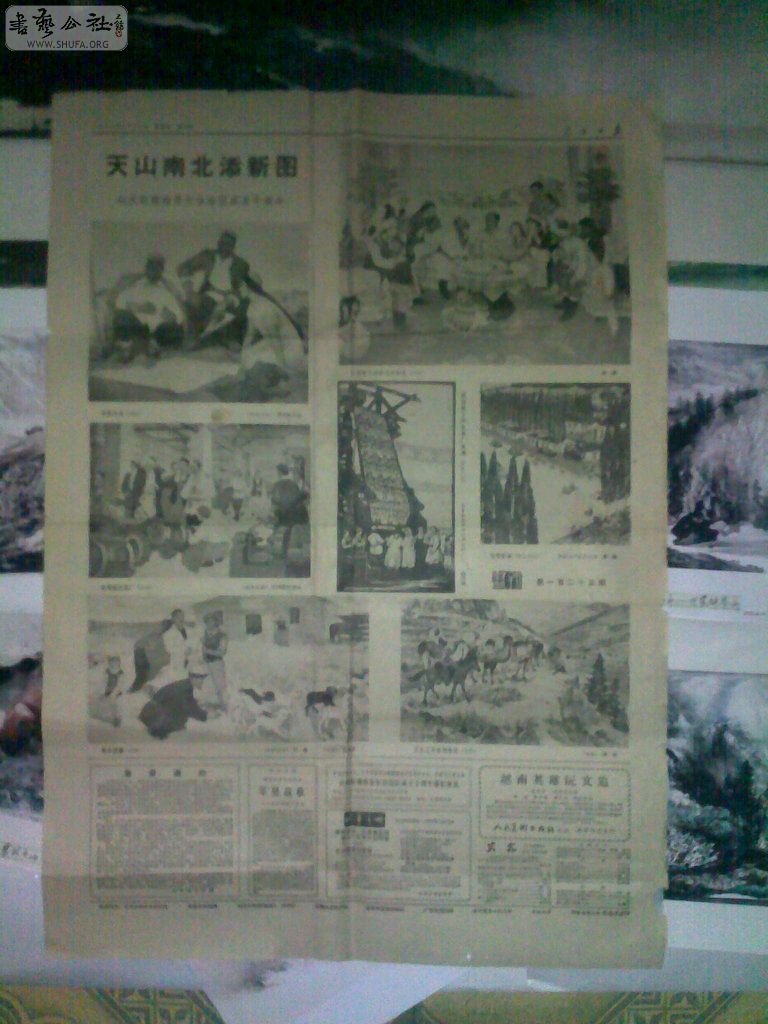 201009111389.jpg