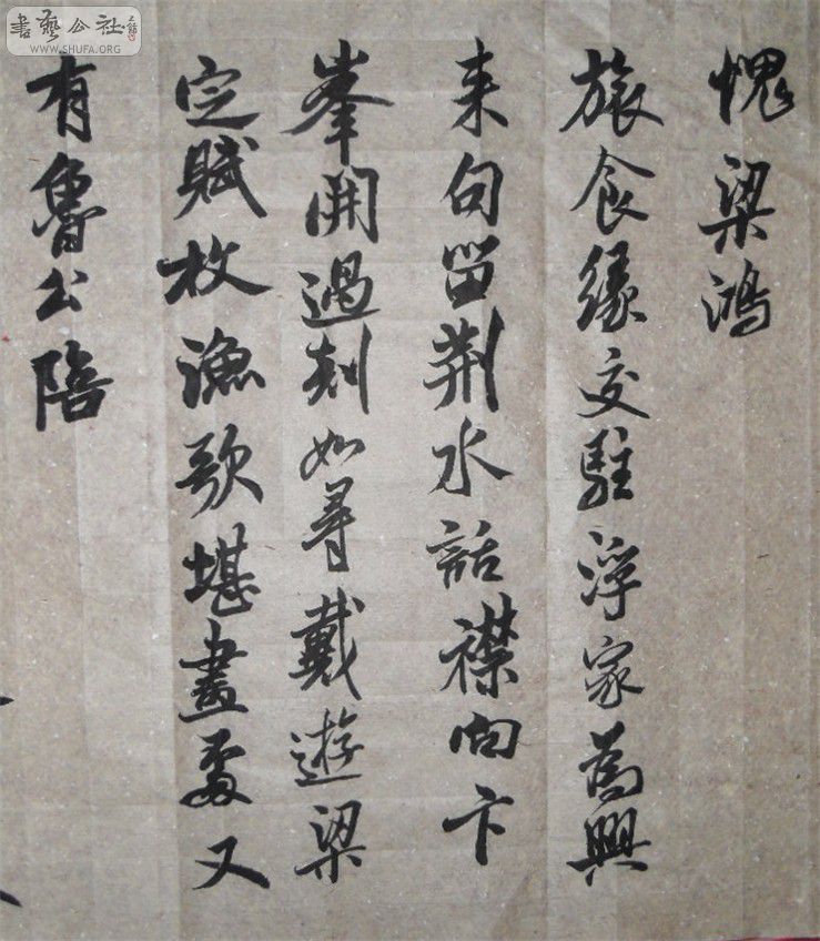 SDC10129.JPG