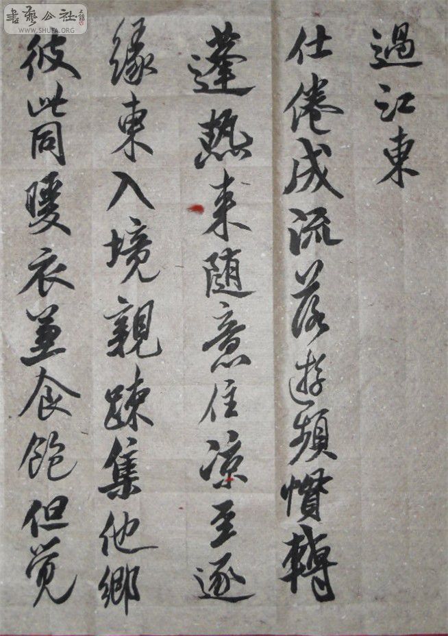 SDC10127.JPG