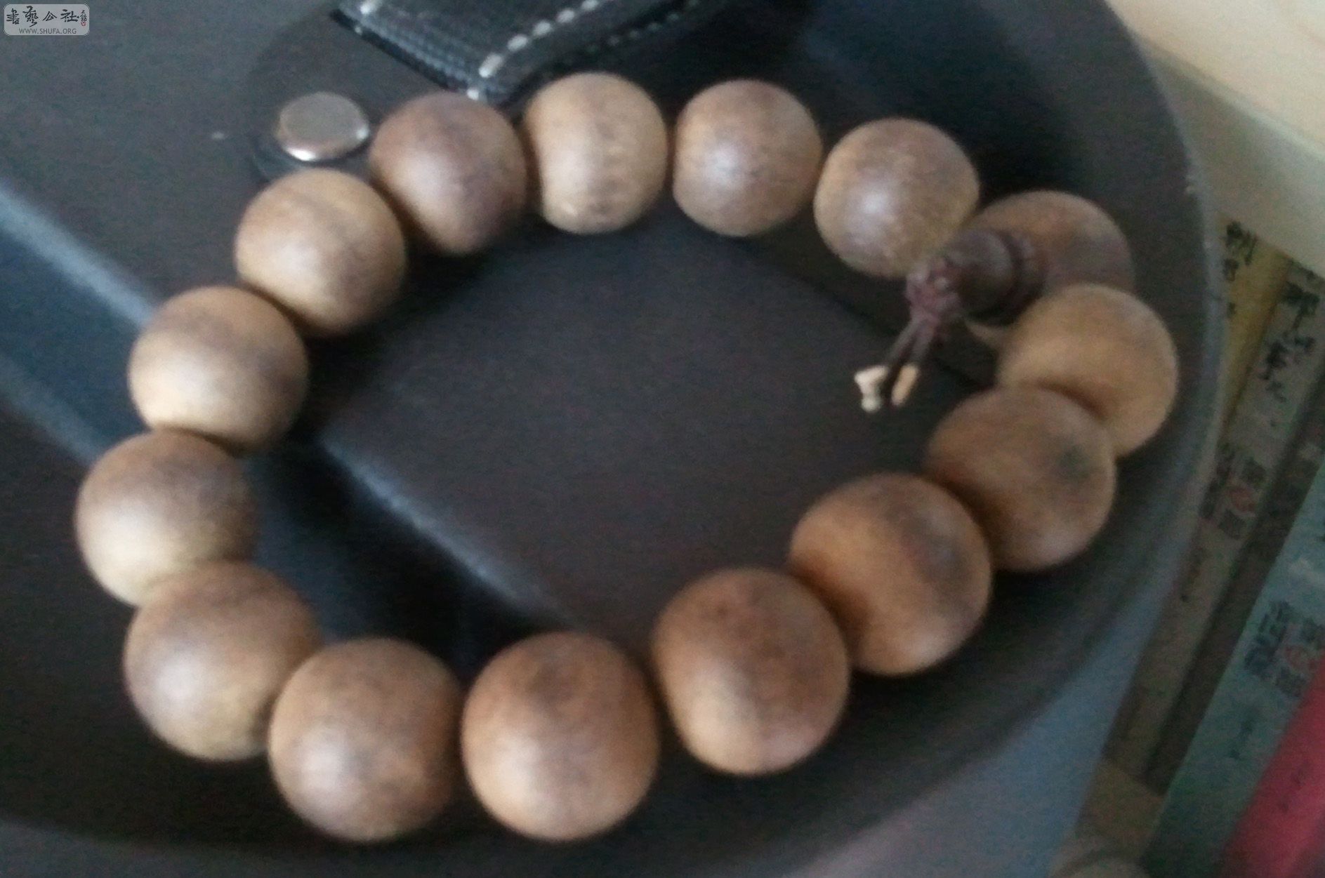 Ƭ0021.jpg