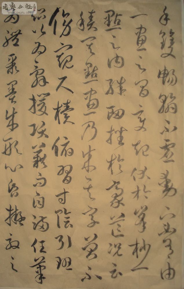 DSC01984.JPG